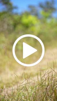 BIB:  <button type="button" onclick="openModal(26599662)" class="btn btn-primary btn-sm float-right" data-toggle="modal" data-target=".modal-high-quality">
                <i class="fa fa-download"></i> Download
                </button>